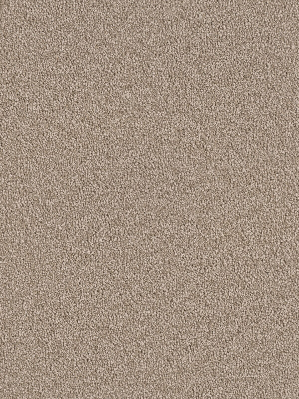 Dreamweaver Carpet East Hampton Mushroom Carpet 2550_715