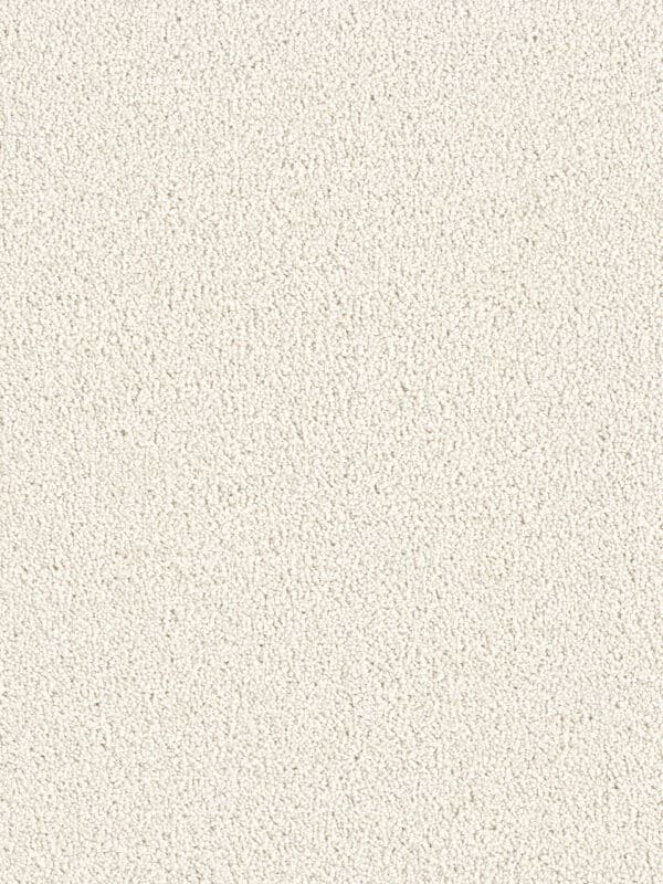 Dreamweaver Carpet East Hampton Pearlesque Carpet 2550_716