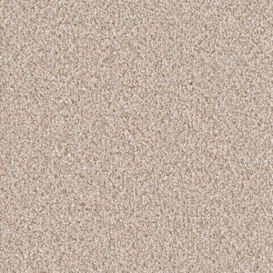 Dreamweaver Carpet East Hampton Oxford Carpet 2550_720