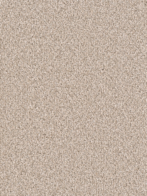 Dreamweaver Carpet East Hampton Oxford Carpet 2550_720