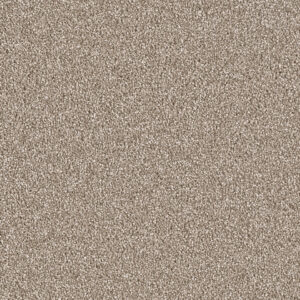 Dreamweaver Carpet East Hampton Quail Carpet 2550_725