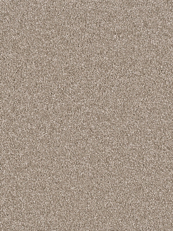 Dreamweaver Carpet East Hampton Quail Carpet 2550_725
