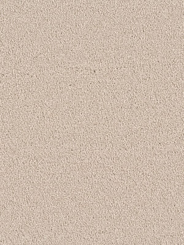 Dreamweaver Carpet East Hampton Ivory Carpet 2550_730