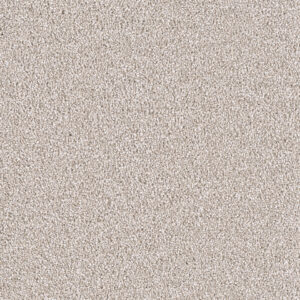 Dreamweaver Carpet East Hampton Parchment Carpet 2550_744