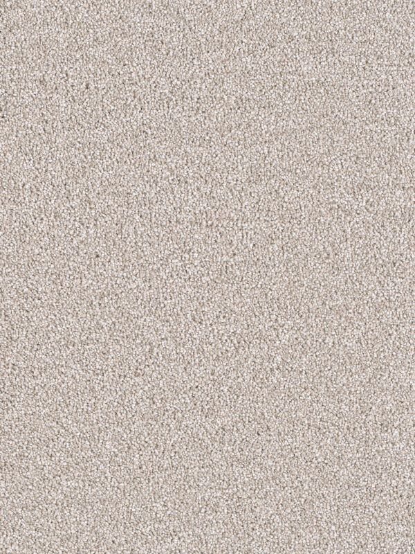 Dreamweaver Carpet East Hampton Parchment Carpet 2550_744