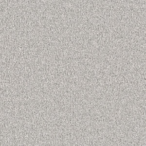 Dreamweaver Carpet East Hampton Dove Carpet 2550_800