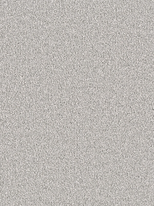 Dreamweaver Carpet East Hampton Dove Carpet 2550_800
