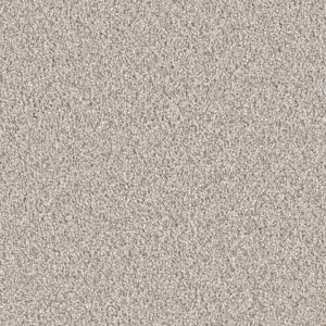 Dreamweaver Carpet East Hampton Iron Frost Carpet 2550_815