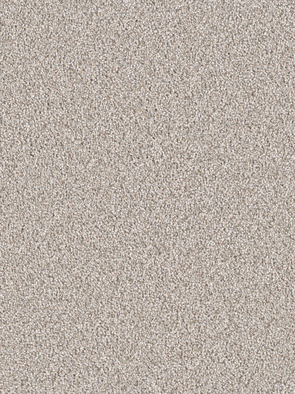 Dreamweaver Carpet East Hampton Iron Frost Carpet 2550_815