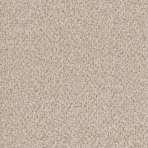 Dreamweaver Carpet East Hampton Linen Carpet 2550_824