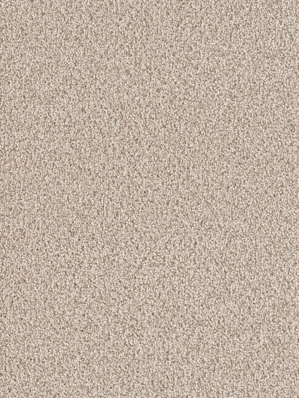 Dreamweaver Carpet East Hampton Linen Carpet 2550_824