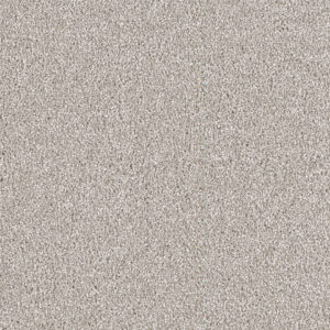 Dreamweaver Carpet East Hampton Silver Lining Carpet 2550_830