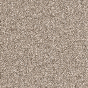 Dreamweaver Carpet East Hampton Acorn Carpet 2550_858