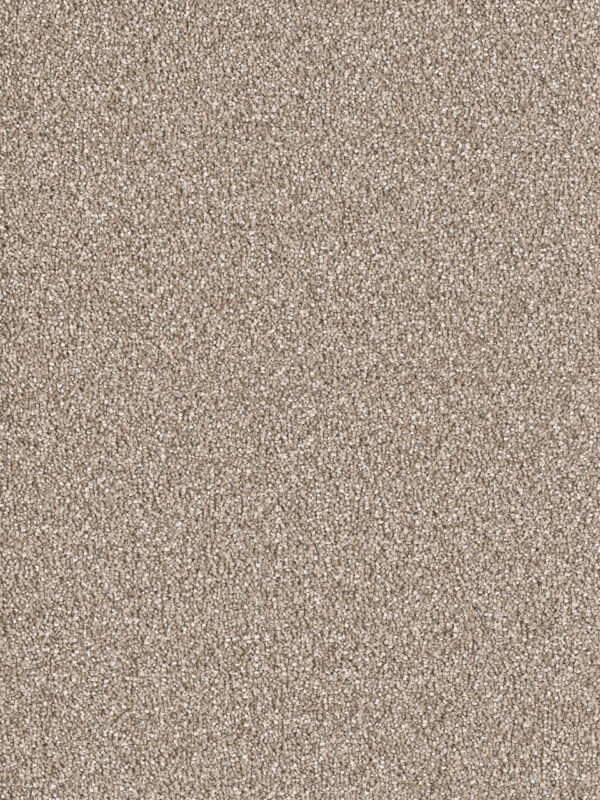 Dreamweaver Carpet East Hampton Acorn Carpet 2550_858