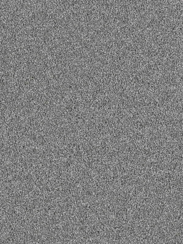 Dreamweaver Carpet East Hampton Pewter Carpet 2550_890