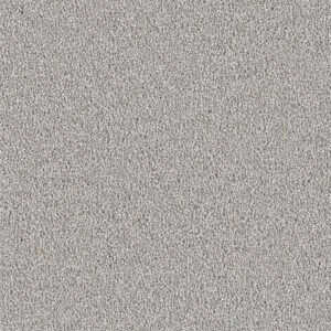 Dreamweaver Carpet East Hampton Chrome Carpet 2550_927
