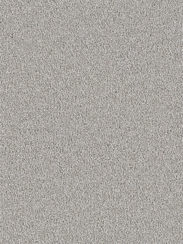 Dreamweaver Carpet East Hampton Chrome Carpet 2550_927