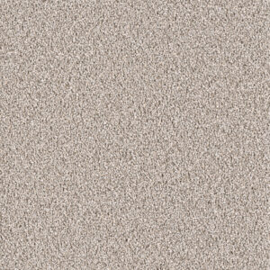 Dreamweaver Carpet East Hampton Ash Carpet 2550_945