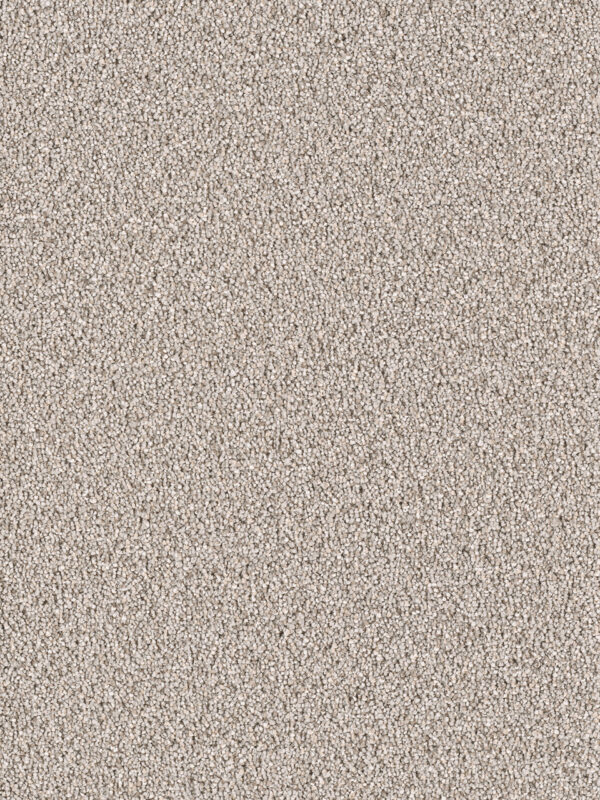 Dreamweaver Carpet East Hampton Ash Carpet 2550_945