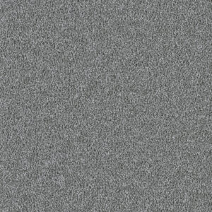 Dreamweaver Carpet East Hampton Armor Carpet 2550_968