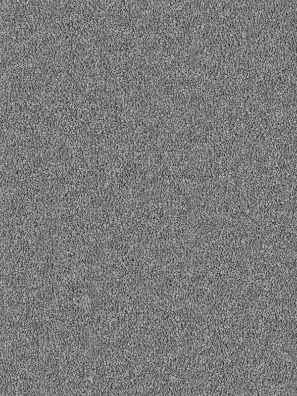 Dreamweaver Carpet East Hampton Armor Carpet 2550_968