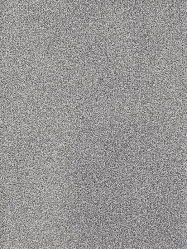 Dreamweaver Carpet Montauk Smoke Carpet 2560_420