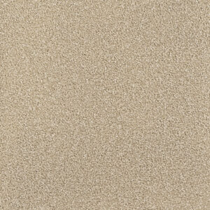 Dreamweaver Carpet Montauk Cashew Carpet 2560_530