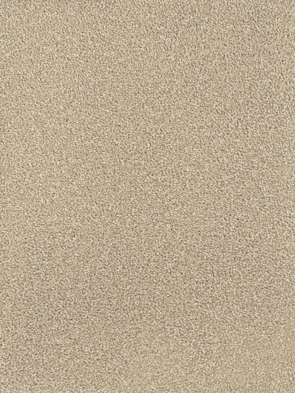 Dreamweaver Carpet Montauk Cashew Carpet 2560_530