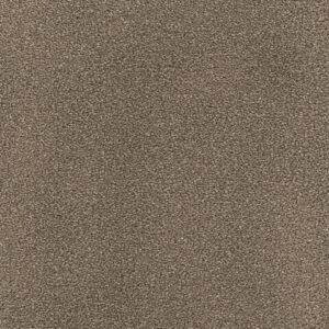 Dreamweaver Carpet Montauk Cocoa Carpet 2560_550
