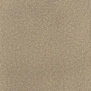 Dreamweaver Carpet Montauk Bamboo Carpet 2560_565