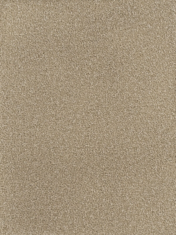 Dreamweaver Carpet Montauk Bamboo Carpet 2560_565