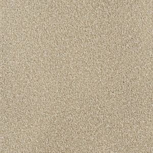 Dreamweaver Carpet Montauk Sawgrass Carpet 2560_701