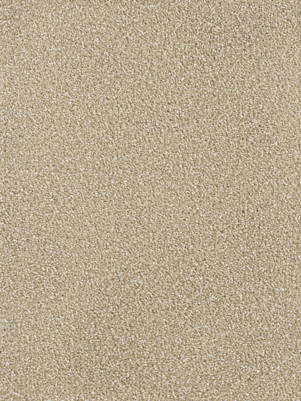 Dreamweaver Carpet Montauk Sawgrass Carpet 2560_701