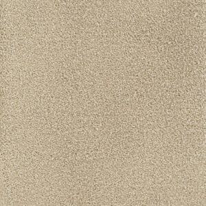 Dreamweaver Carpet Montauk Sand Carpet 2560_710