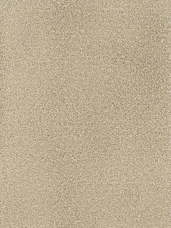 Dreamweaver Carpet Montauk Sand Carpet 2560_710