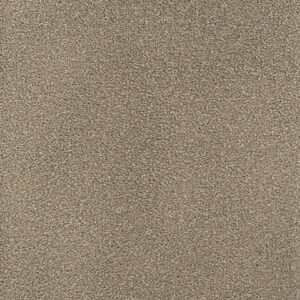Dreamweaver Carpet Montauk Mushroom Carpet 2560_715
