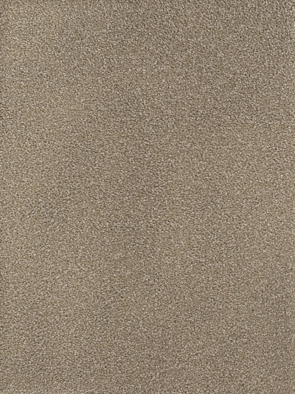 Dreamweaver Carpet Montauk Mushroom Carpet 2560_715