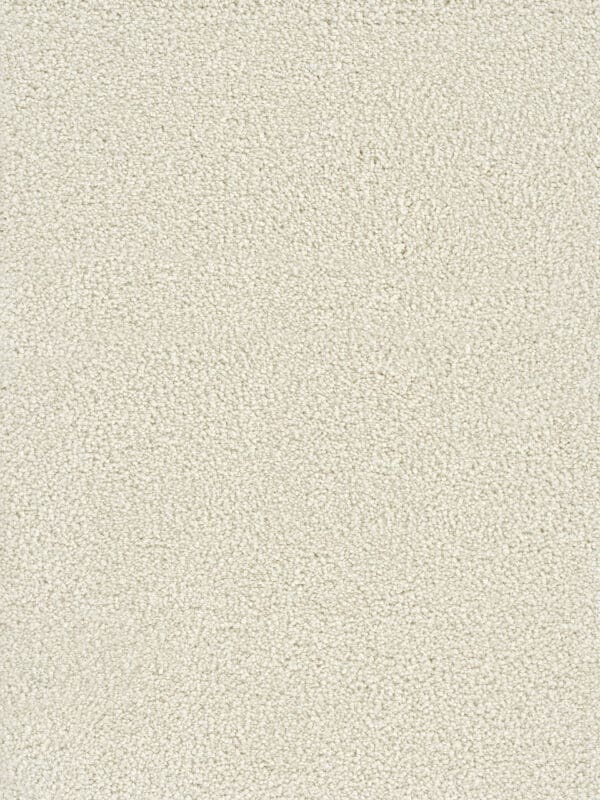 Dreamweaver Carpet Montauk Pearlesque Carpet 2560_716