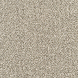 Dreamweaver Carpet Montauk Oxford Carpet 2560_720