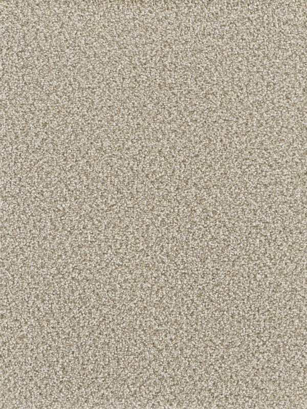 Dreamweaver Carpet Montauk Oxford Carpet 2560_720
