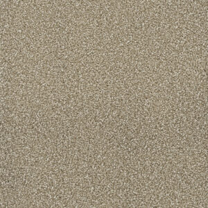 Dreamweaver Carpet Montauk Quail Carpet 2560_725