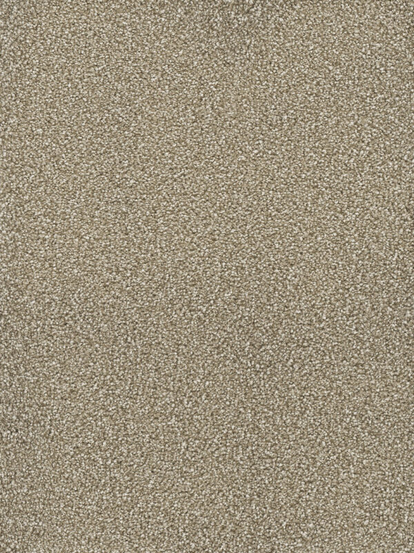Dreamweaver Carpet Montauk Quail Carpet 2560_725