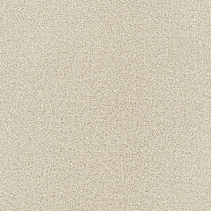 Dreamweaver Carpet Montauk Ivory Carpet 2560_730