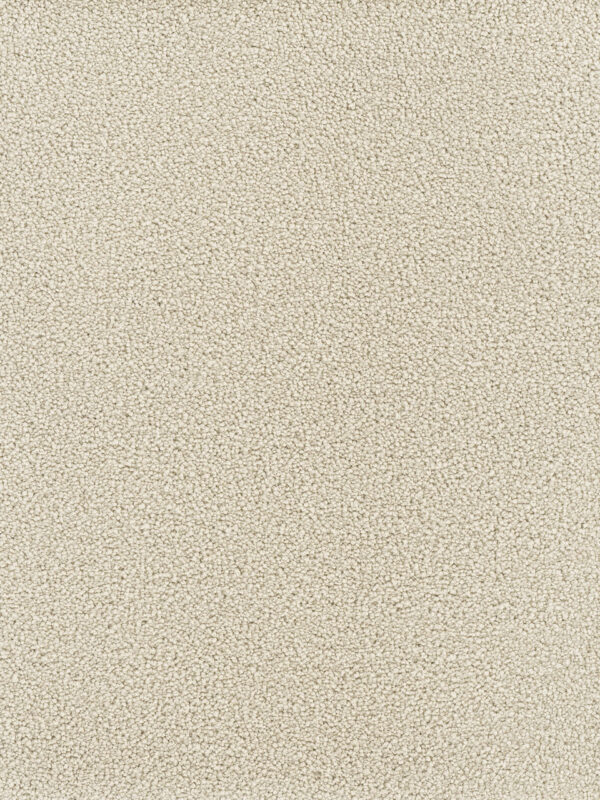 Dreamweaver Carpet Montauk Ivory Carpet 2560_730