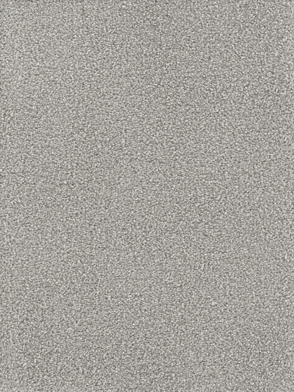 Dreamweaver Carpet Montauk Dove Carpet 2560_800