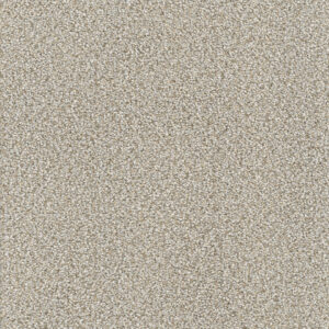 Dreamweaver Carpet Montauk Iron Frost Carpet 2560_815