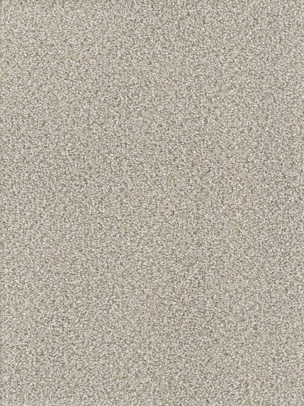 Dreamweaver Carpet Montauk Iron Frost Carpet 2560_815