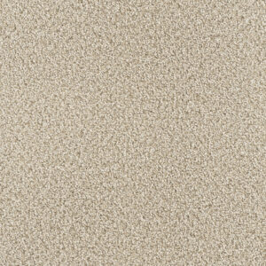 Dreamweaver Carpet Montauk Linen Carpet 2560_824
