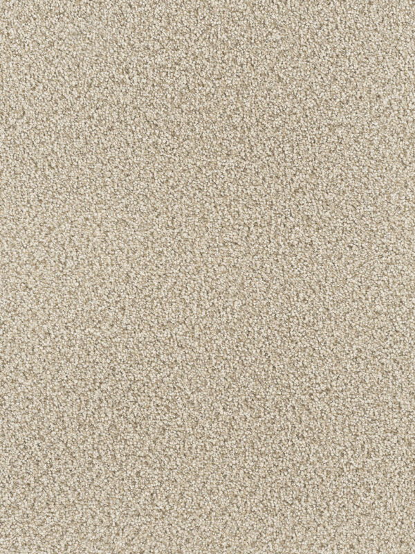 Dreamweaver Carpet Montauk Linen Carpet 2560_824