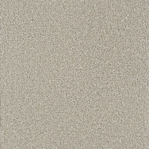 Dreamweaver Carpet Montauk Silver Lining Carpet 2560_830